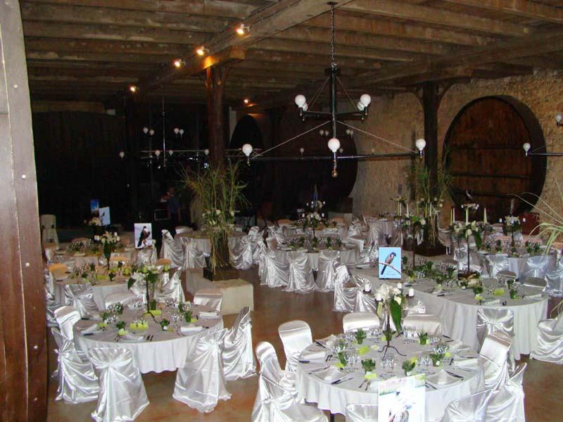 Château-Pech-Celeyran_11100-SALLES-DAUDE_15 Château-Pech-Celeyran_11100-SALLES-DAUDE_15
