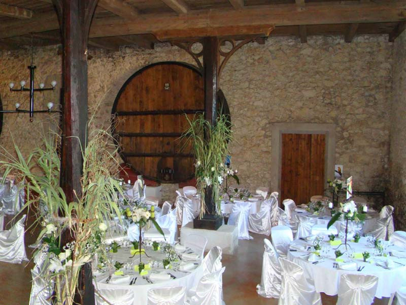 Château-Pech-Celeyran_11100-SALLES-DAUDE_16 Château-Pech-Celeyran_11100-SALLES-DAUDE_16