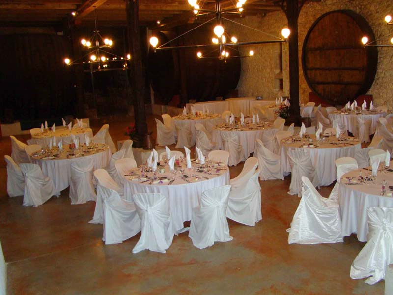 Château-Pech-Celeyran_11100-SALLES-DAUDE_17 Château-Pech-Celeyran_11100-SALLES-DAUDE_17