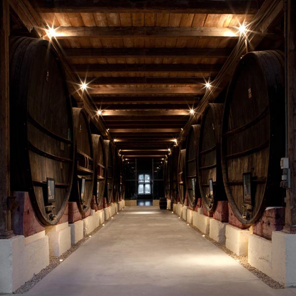 Château-Pech-Celeyran_11100-SALLES-DAUDE_19 Château-Pech-Celeyran_11100-SALLES-DAUDE_19