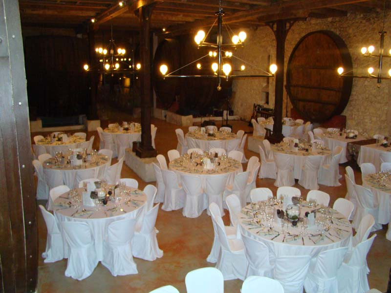 Château-Pech-Celeyran_11100-SALLES-DAUDE_3 Château-Pech-Celeyran_11100-SALLES-DAUDE_3