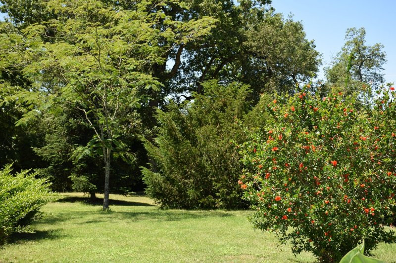 Domaine-dEn-Fargou_81370-SAINT-SULPICE_9 Domaine-dEn-Fargou_81370-SAINT-SULPICE_9