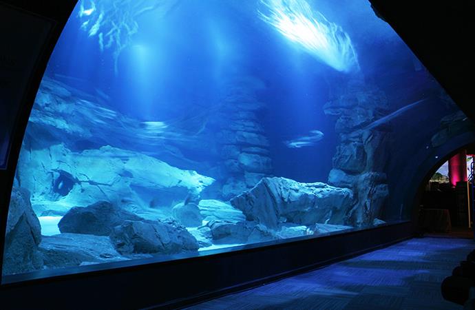 LAquarium_75016-PARIS-16_8 LAquarium_75016-PARIS-16_8