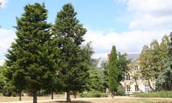 Château-de-la-Vaudère_72250-PARIGNE-LEVÊQUE_9