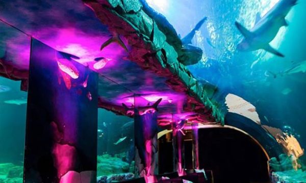 LAquarium_75016-PARIS-16