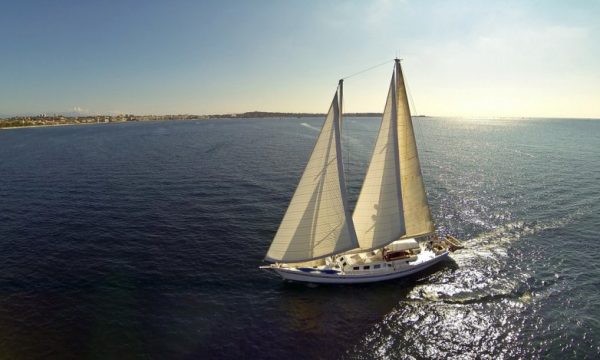 Dame des Tropiques_83000 TOULON