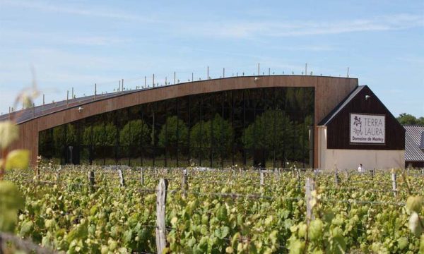 Domaine de Montcy_41700 CHEVERNY