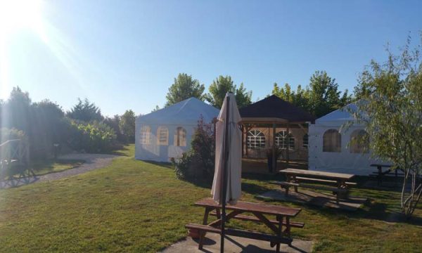 Domaine des Elies_17810 NIEUL LES SAINTES