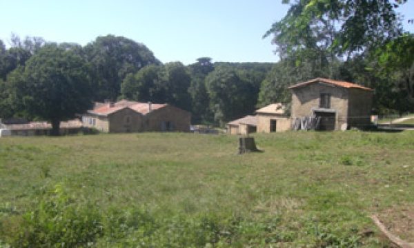 Ferme de la Jasse_11400 CASTELNAUDARY