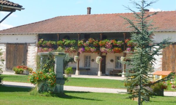 Le Domaine du Cuiset_01960 SAINT ANDRE SUR VIEUX JONC